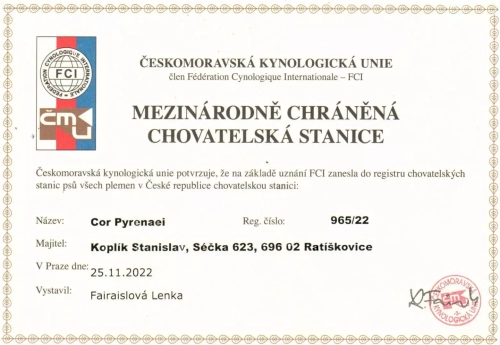 Mezinárodně chráněná CHS
