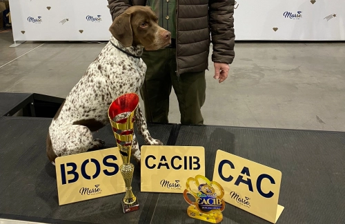 Duo Cacib Brno